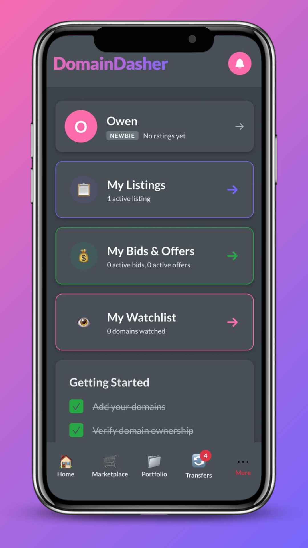 DomainDasher Dashboard